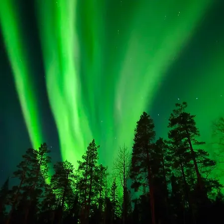 Goahti - Kantokelo *