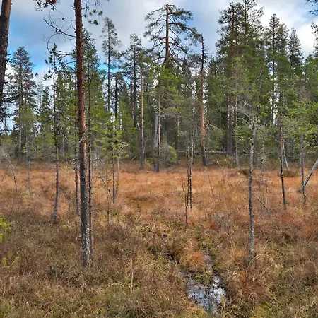 Goahti - Kantokelo Ylläsjärvi