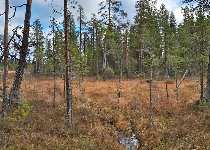 Goahti - Kantokelo Ylläsjärvi
